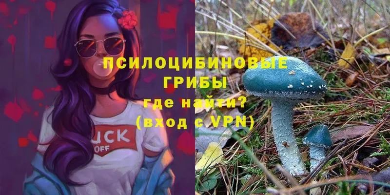 Псилоцибиновые грибы MAGIC MUSHROOMS Барыш