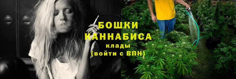 Конопля Ganja  Барыш 